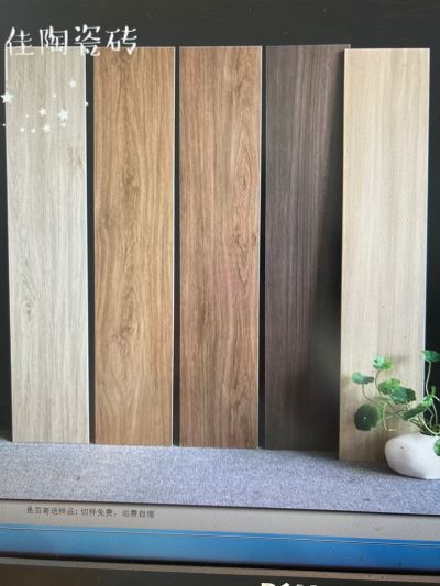 无未编辑专业未编辑专业未编辑专业
