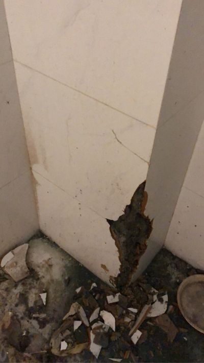 无未编辑专业未编辑专业未编辑专业