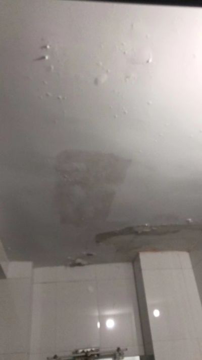 无未编辑专业未编辑专业未编辑专业