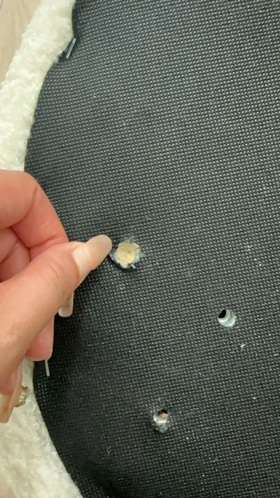 美甲美睫未编辑专业未编辑专业未编辑专业