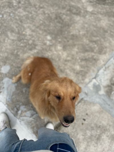 无未编辑专业未编辑专业未编辑专业