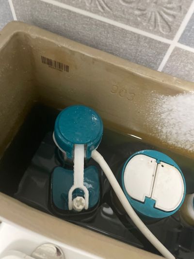 无未编辑专业未编辑专业未编辑专业
