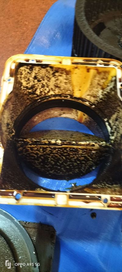 家电深度清洗未编辑专业未编辑专业未编辑专业