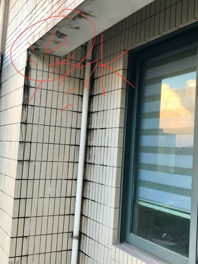 无未编辑专业未编辑专业未编辑专业