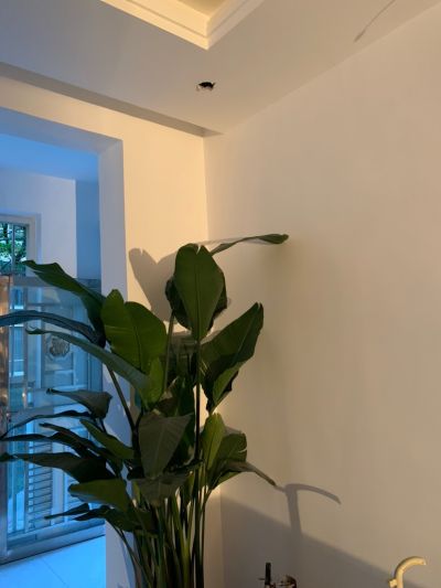 无未编辑专业未编辑专业未编辑专业