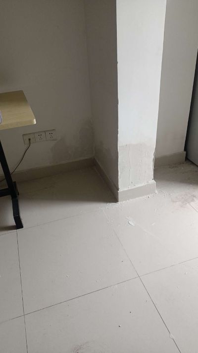 整装室内装饰无未编辑专业