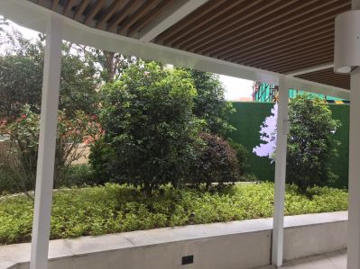 专业园林绿化景观设计苗木配送花草树木