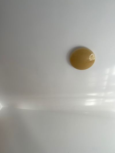无未编辑专业未编辑专业未编辑专业