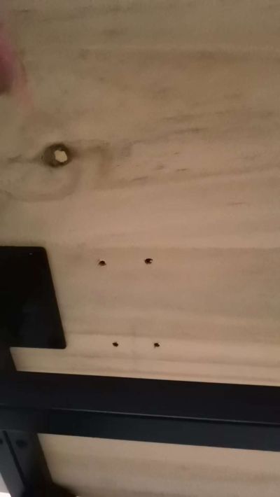 无家具拆装搬家未编辑专业
