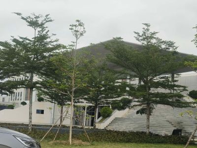 无未编辑专业未编辑专业未编辑专业