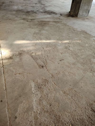 无未编辑专业未编辑专业未编辑专业