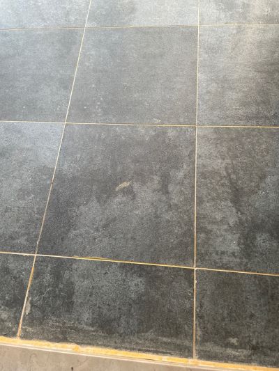 无未编辑专业未编辑专业未编辑专业