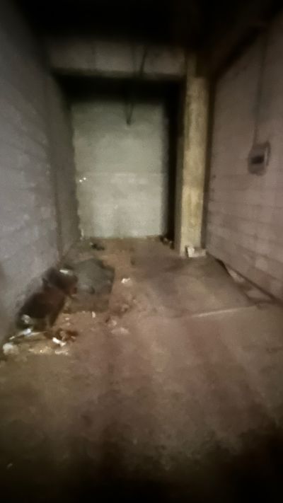 无未编辑专业未编辑专业未编辑专业