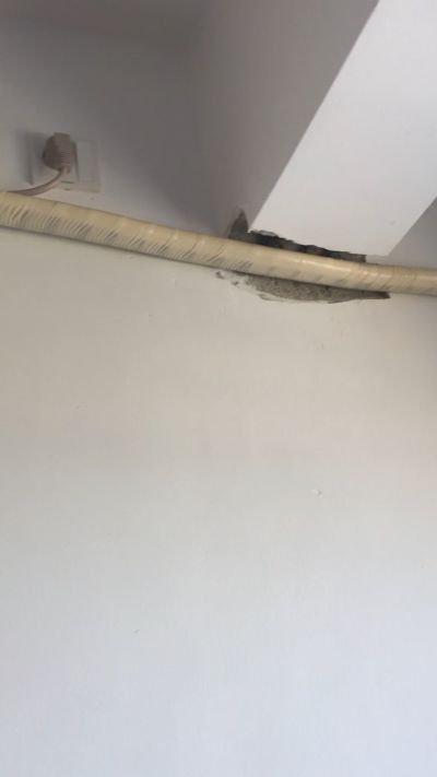 家具未编辑专业未编辑专业未编辑专业