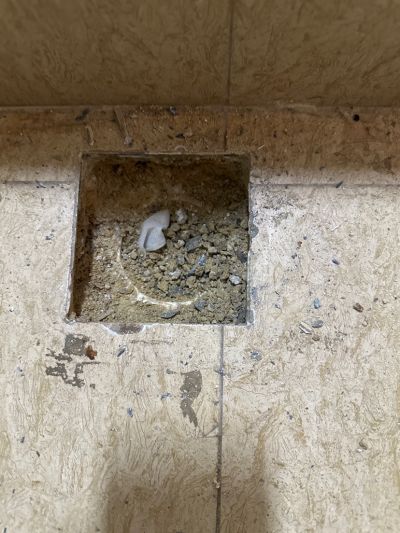无业游民未编辑专业未编辑专业未编辑专业