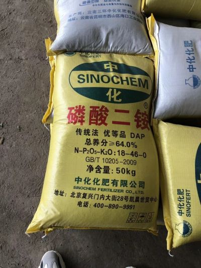 无未编辑专业未编辑专业未编辑专业