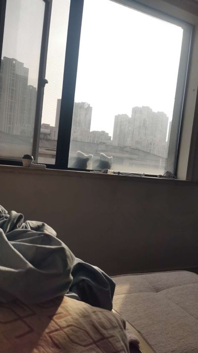 无未编辑专业未编辑专业未编辑专业
