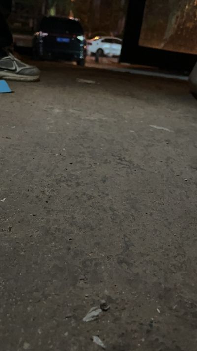 无未编辑专业未编辑专业未编辑专业