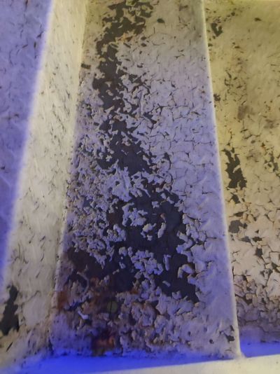 无未编辑专业未编辑专业未编辑专业