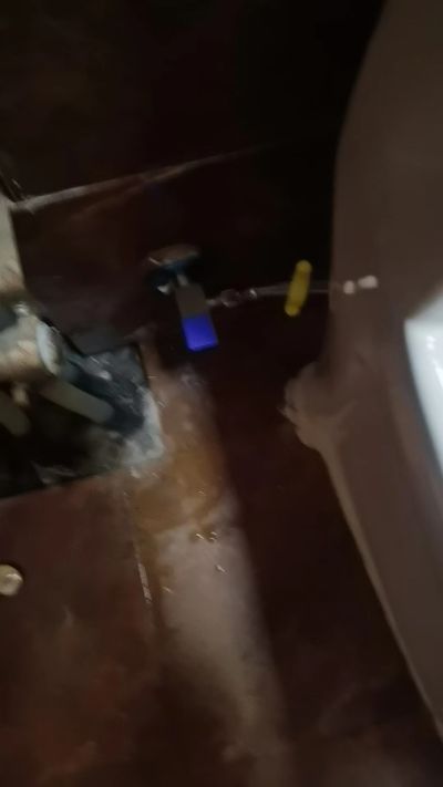 无未编辑专业未编辑专业未编辑专业