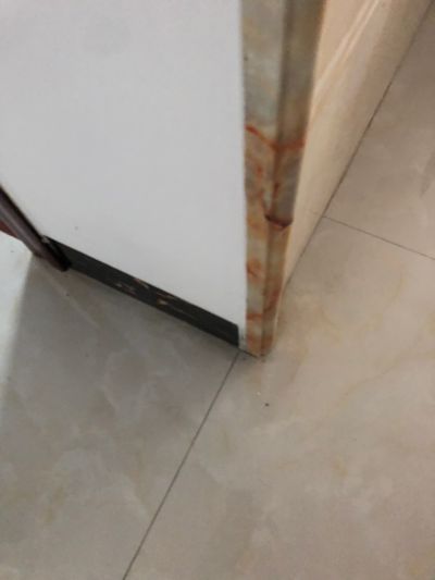 无未编辑专业未编辑专业未编辑专业