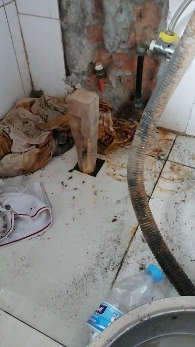 无未编辑专业未编辑专业未编辑专业