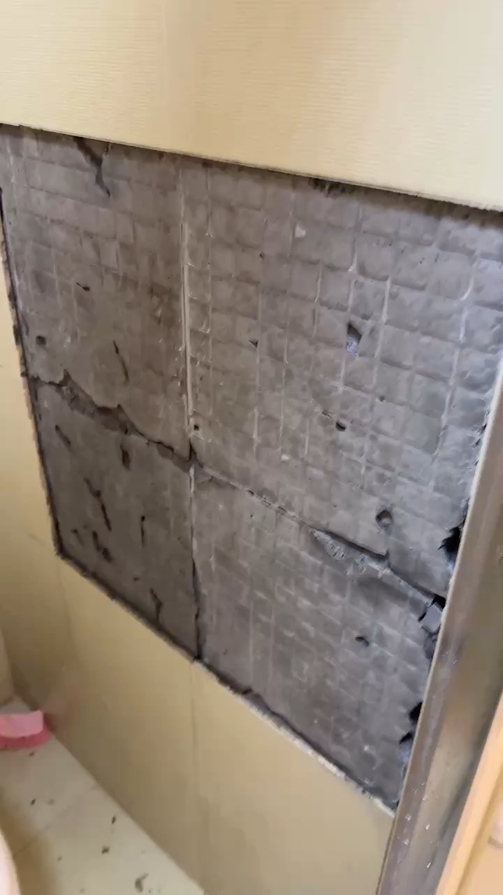 无未编辑专业未编辑专业未编辑专业