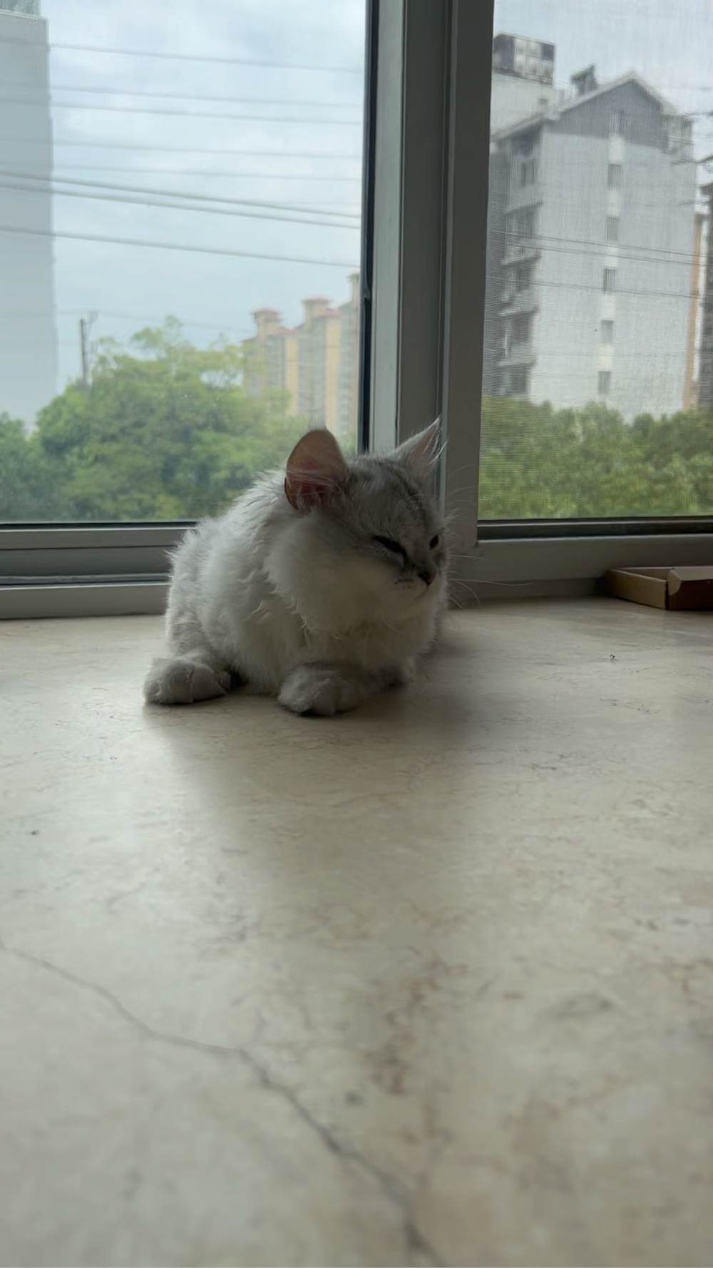 无未编辑专业未编辑专业未编辑专业