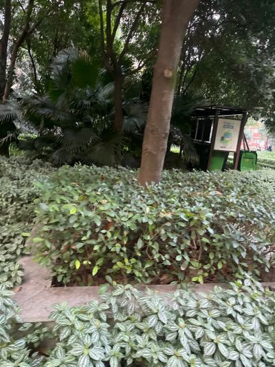室内装修未编辑专业未编辑专业未编辑专业