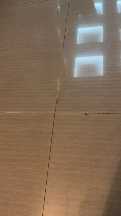 无未编辑专业未编辑专业未编辑专业