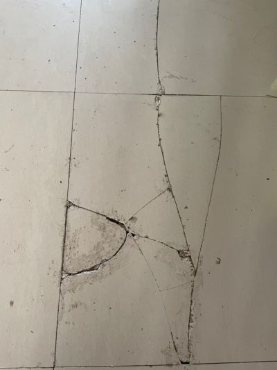 无未编辑专业未编辑专业未编辑专业