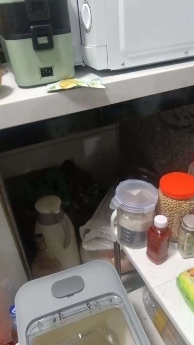 下单未编辑专业未编辑专业未编辑专业