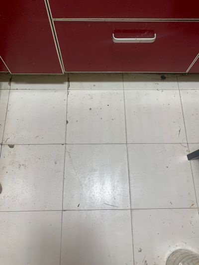 无未编辑专业未编辑专业未编辑专业