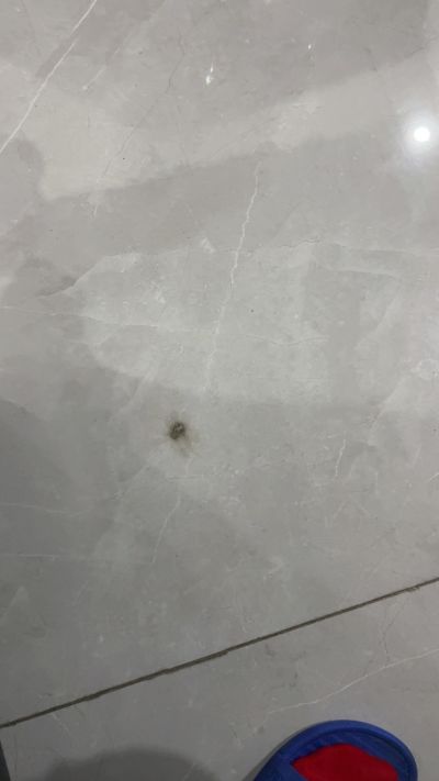 电脑电脑行业未编辑专业未编辑专业