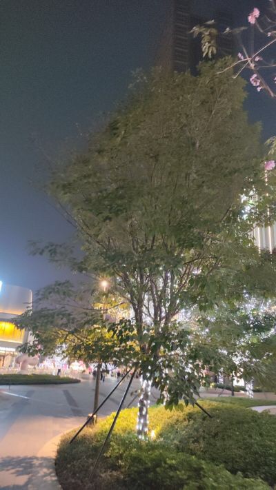 无未编辑专业未编辑专业未编辑专业