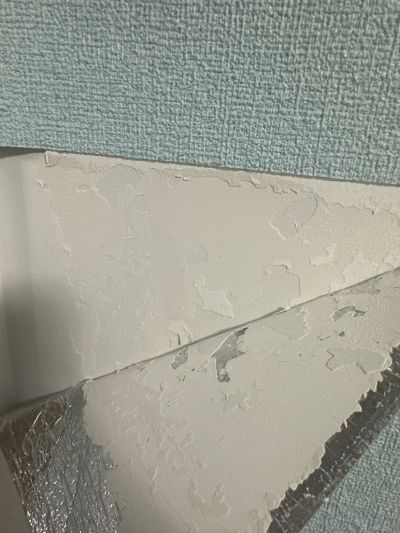 姚诗宇未编辑专业未编辑专业未编辑专业