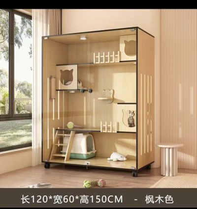 任圆缘未编辑专业未编辑专业未编辑专业
