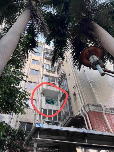 四眼鸡丁33未编辑专业未编辑专业未编辑专业
