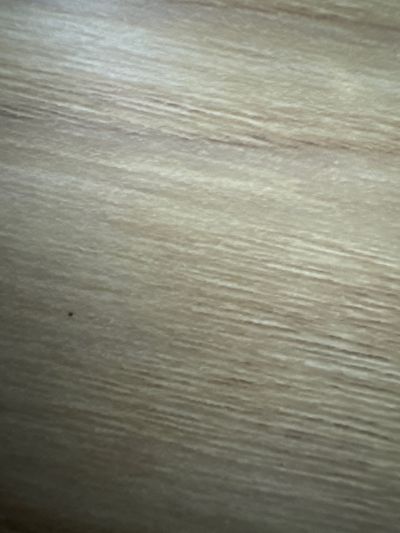 陈生未编辑专业未编辑专业未编辑专业