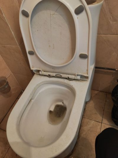 无未编辑专业未编辑专业未编辑专业