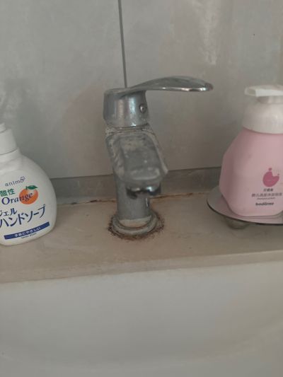 陈金娥未编辑专业未编辑专业未编辑专业