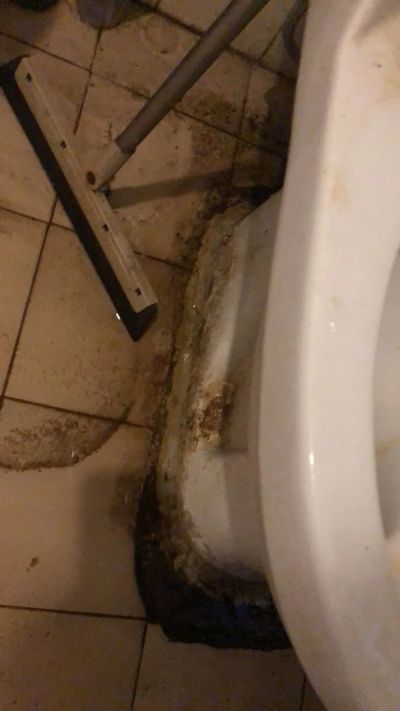 六六未编辑专业未编辑专业未编辑专业
