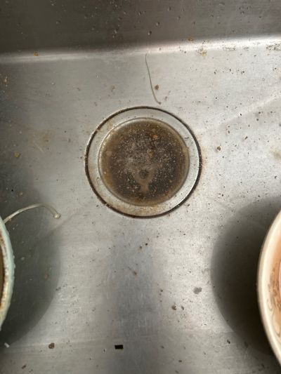 无未编辑专业未编辑专业未编辑专业