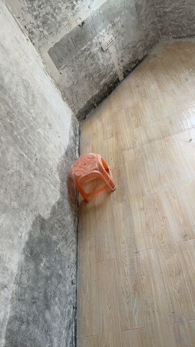 张佳英未编辑专业未编辑专业未编辑专业