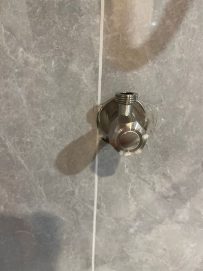 郑雨晴未编辑专业未编辑专业未编辑专业