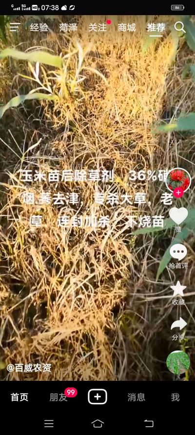 无未编辑专业未编辑专业未编辑专业