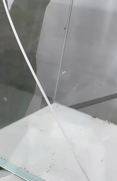 梁先生未编辑专业未编辑专业未编辑专业