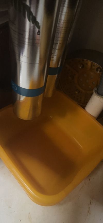 叶未编辑专业未编辑专业未编辑专业