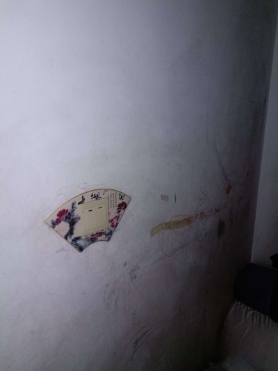 无无未编辑专业未编辑专业