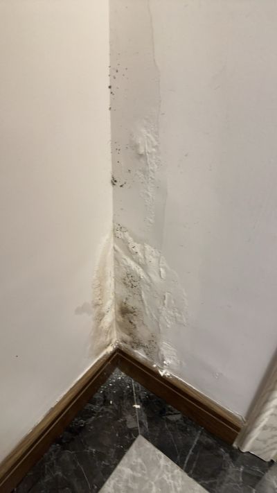 胡先生未编辑专业未编辑专业未编辑专业